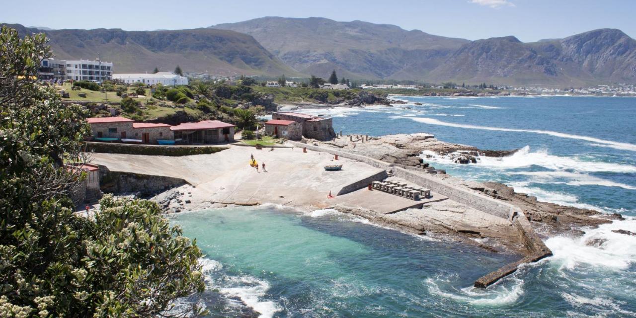 Zzzone Boutique Hostel Hermanus Dış mekan fotoğraf